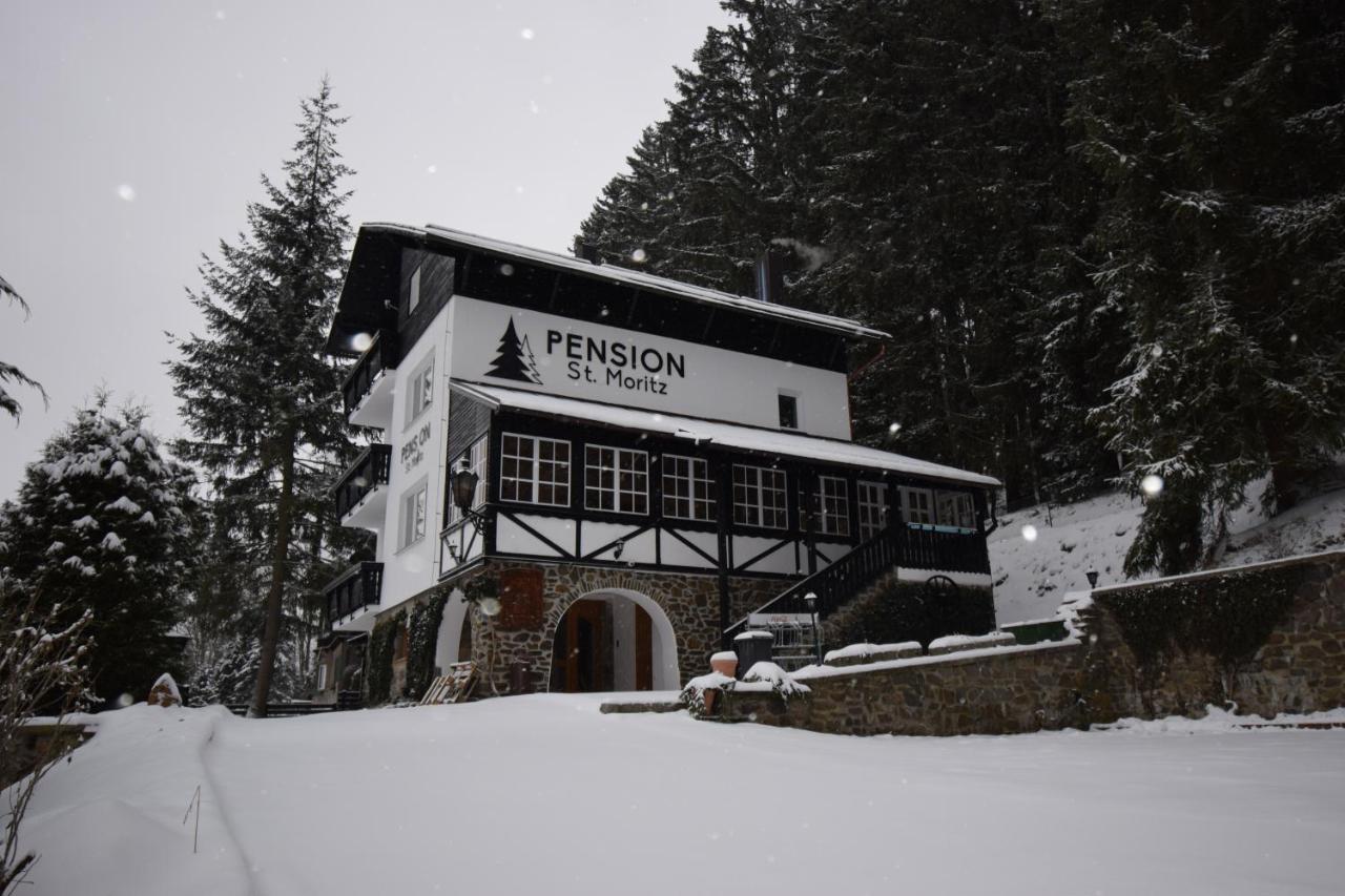 Pension St. Moritz Zelezna Ruda Exterior photo